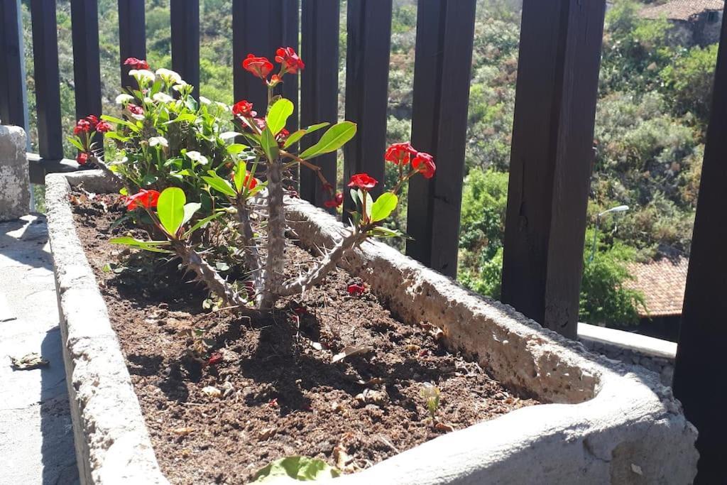 Casa Tia Rosa. Villa Costa Adeje  Eksteriør bilde